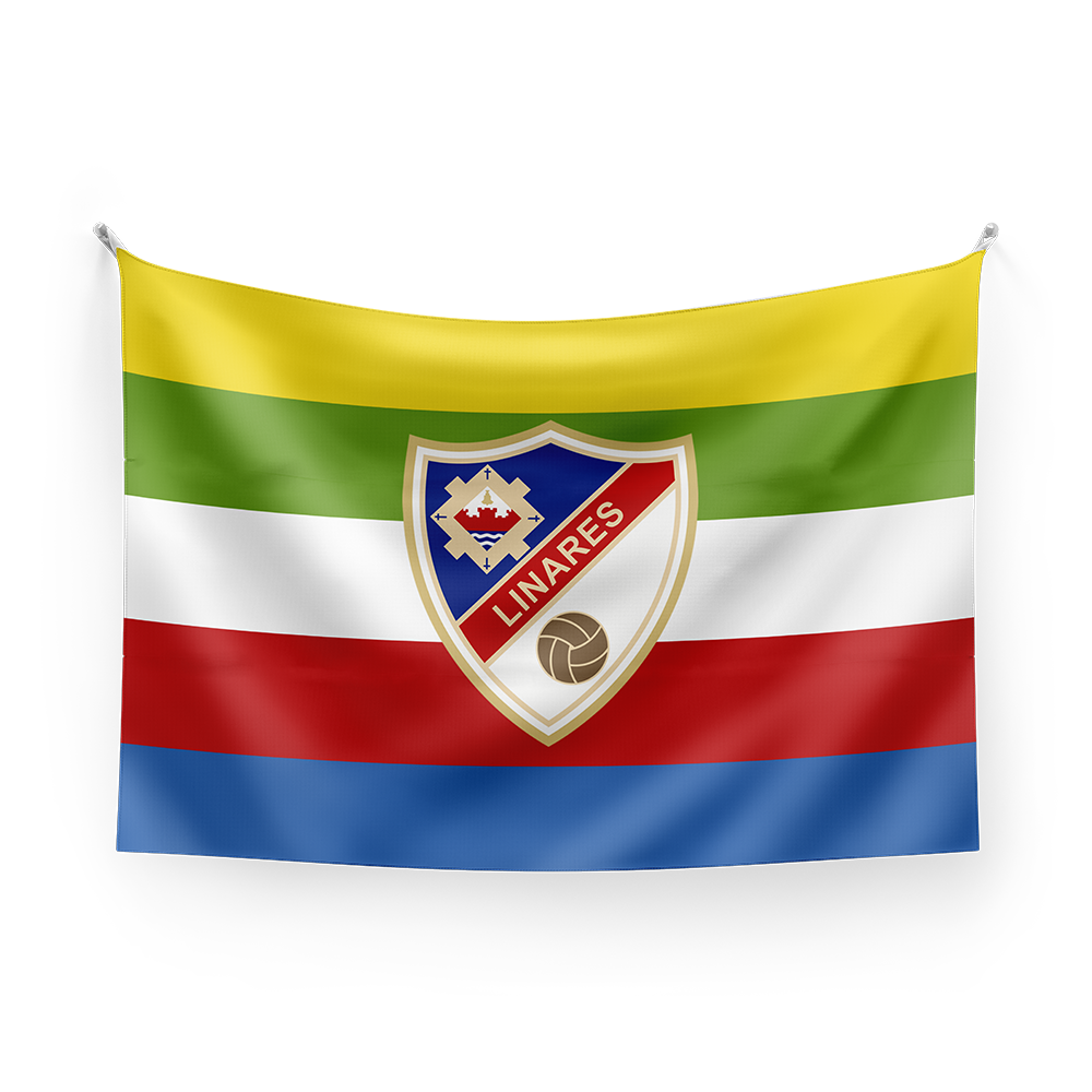 BANDERA MULTICOLOR LINARES DEPORTIVO
